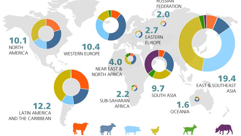 A chart showing animal protein production globally.
