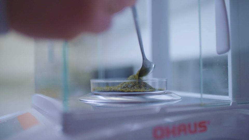 A spoon placing organic green material on a scale