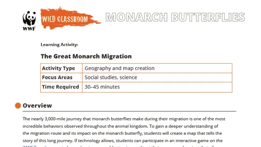 The Great Monarch Migration