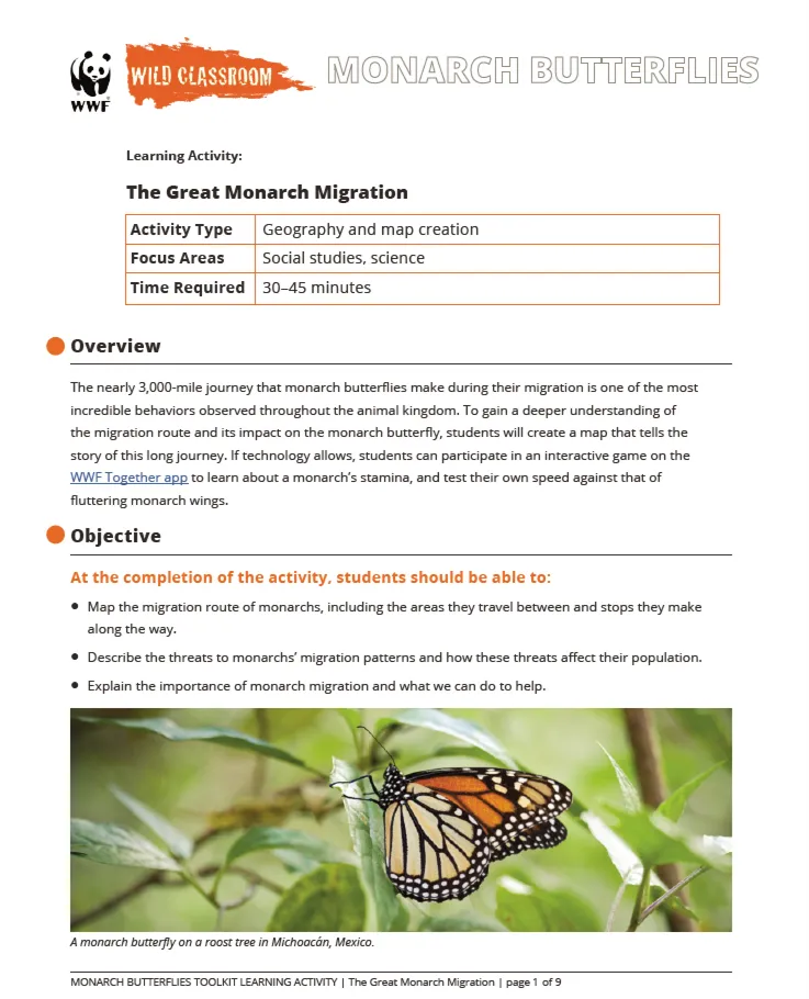 The Great Monarch Migration