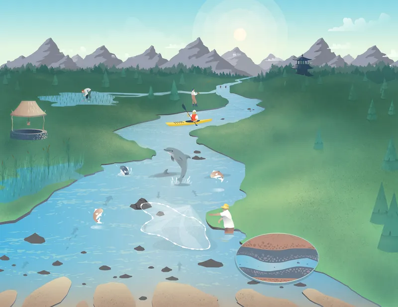 An illustration of a river bed with agriculture, recreation, and wildlife.
