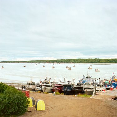 Waterside with salmon boats