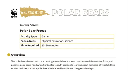 First page preview of the Polar Bear Freeze learning activity