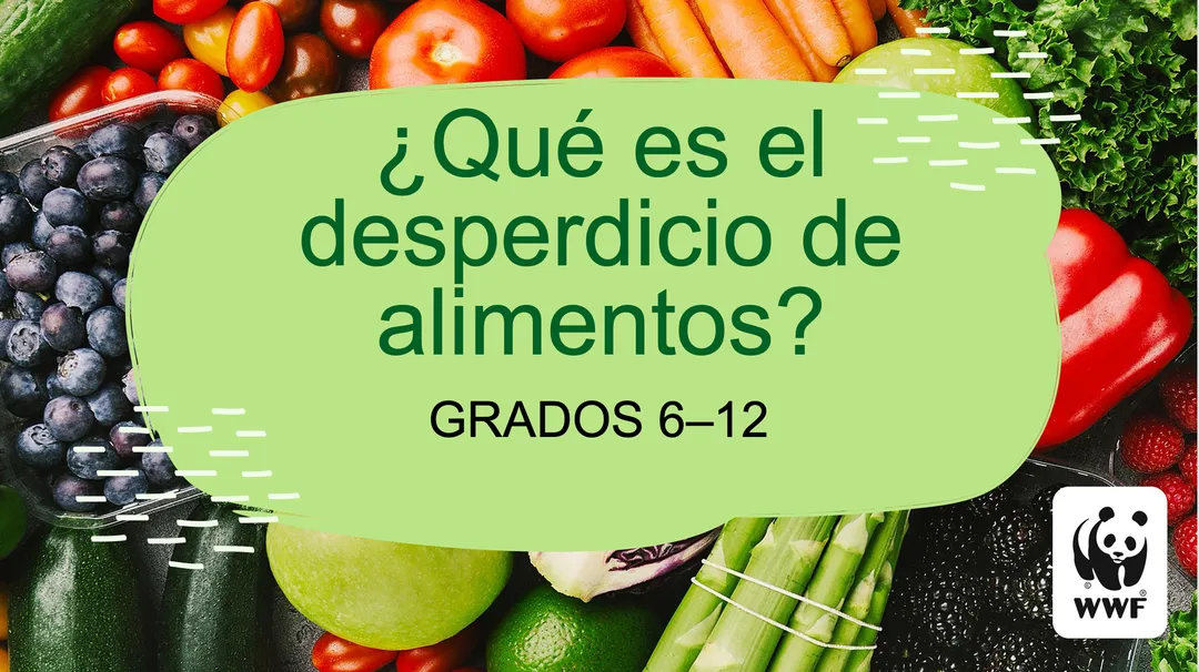 6-12 Presentación