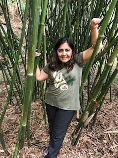A woman standing amidst bamboo stalks.