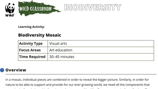 A preview of the biodiversity mosaic education activity