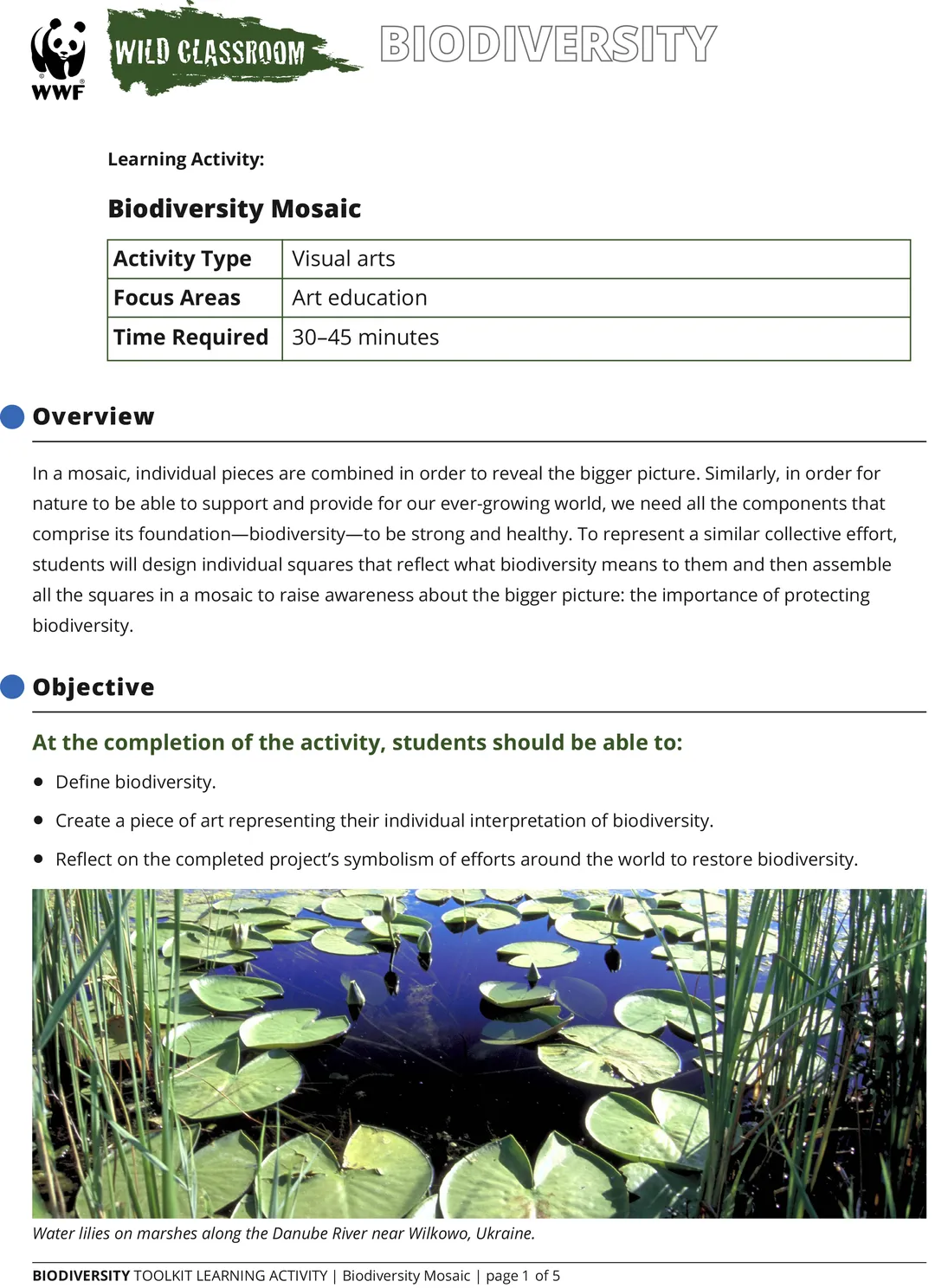 A preview of the biodiversity mosaic education activity