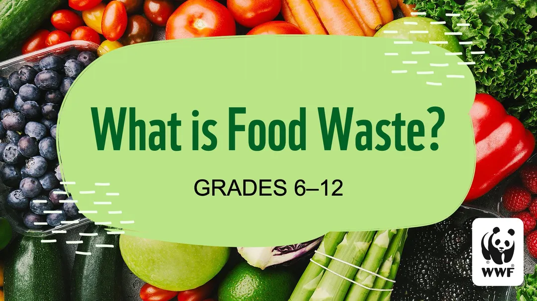 Food Waste Warriors 6-12 Slideshow