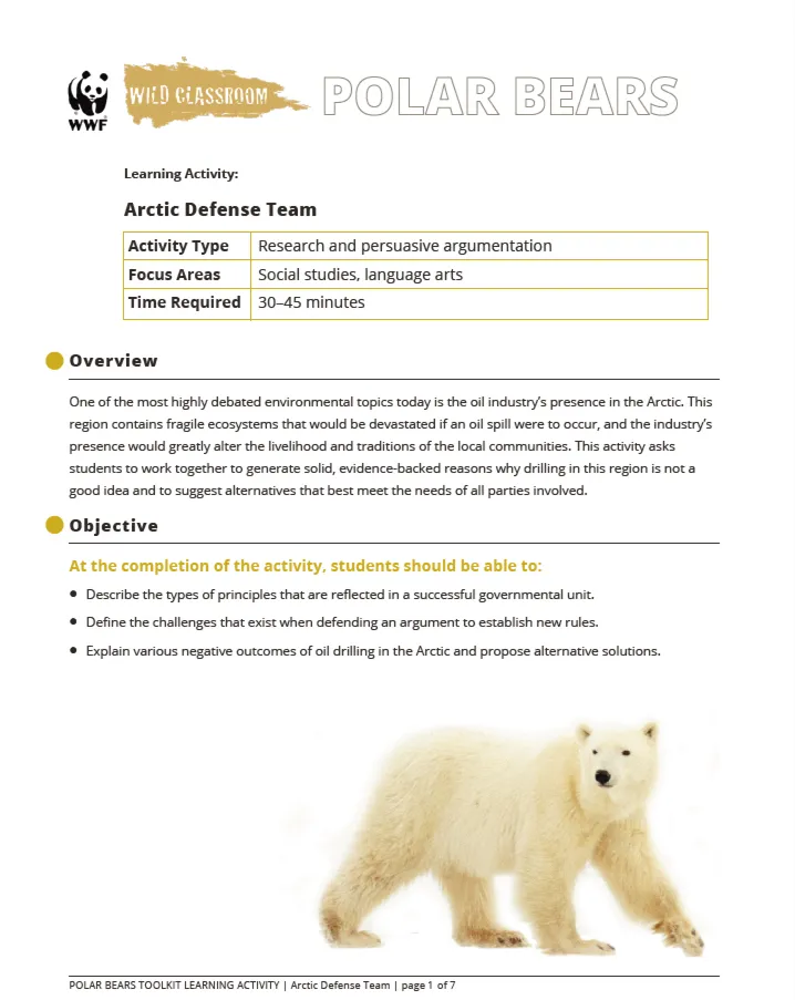Teaching Tools on Polar Bears and Climate Change | World Wildlife Fund