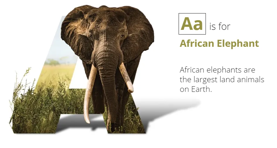 Species ABCs Classroom Presentation Preview