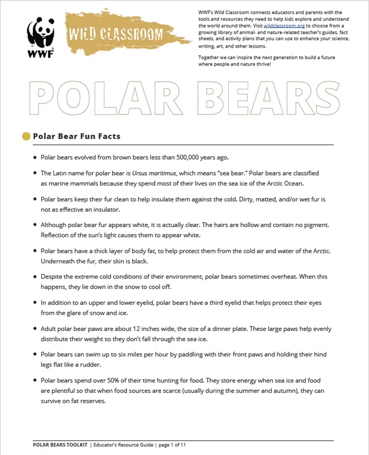 Preview image of the polar bear educator's resource guide
