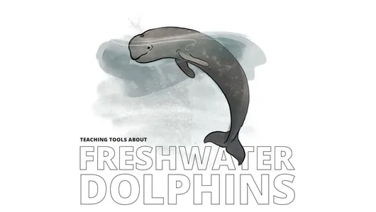 Dolphin Educator's Resource Guide Preview