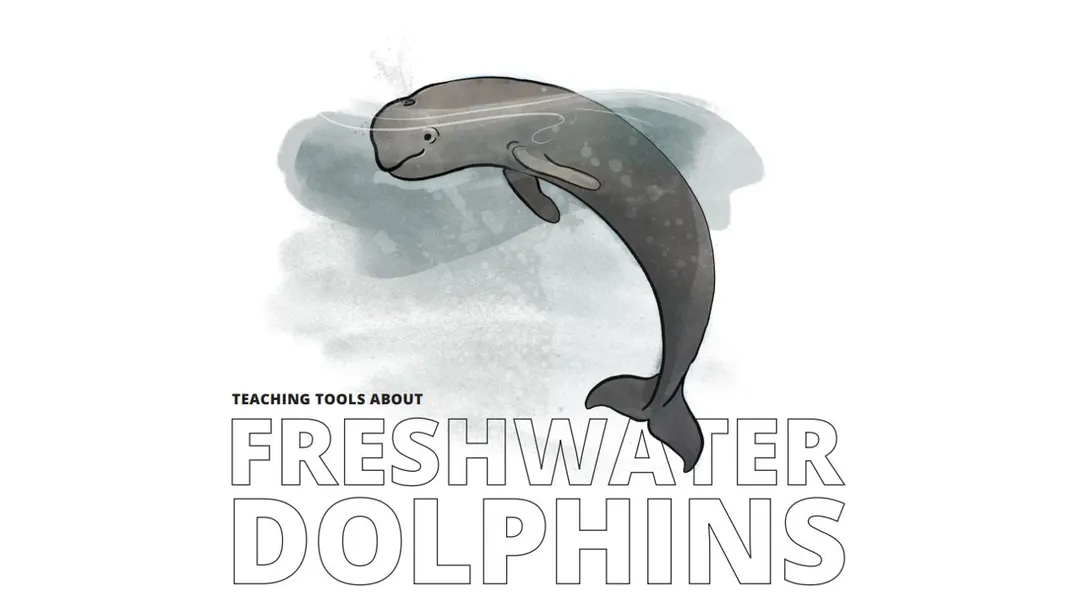 Dolphin Educator's Resource Guide Preview