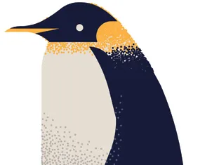 Emperor penguin illustration