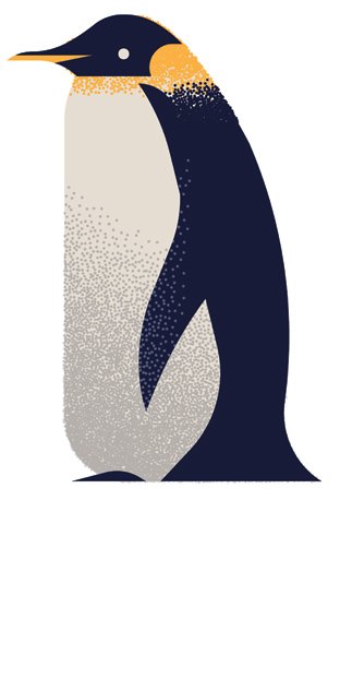 Emperor penguin illustration