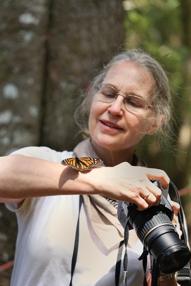 Woman looks at monarch on her arm