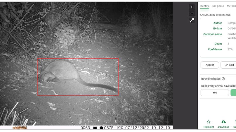 Screenshot of wallaby auto detection