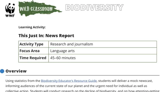 A preview of the This Just In: News Report language arts activity