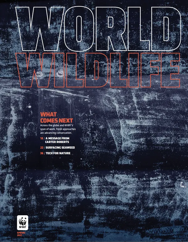 Spring 2021 magazine cover