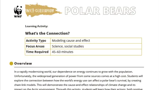 A preview of the first page of the activity
