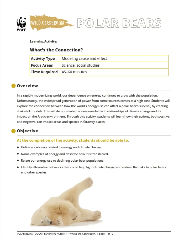 Teaching Tools on Polar Bears and Climate Change | World Wildlife Fund