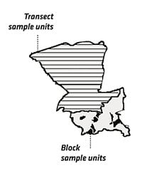 Drawing showing block pattern