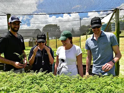 Four people stand in front of trays of green seedlings