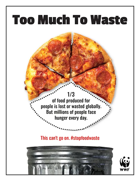 Too Much To Waste Poster