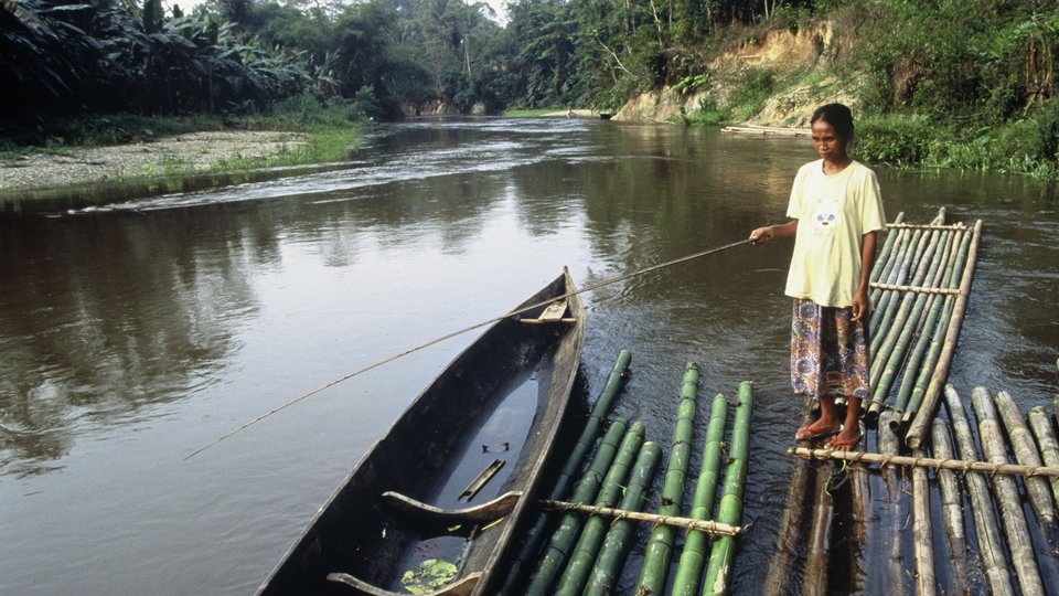 Woman (from the Talang Mamak tribe) fishing at a river.