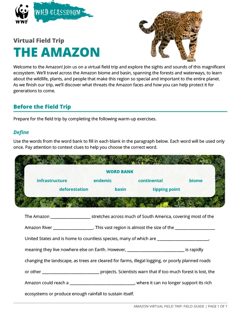 Virtual Field Trip to the Amazon: Student Guide