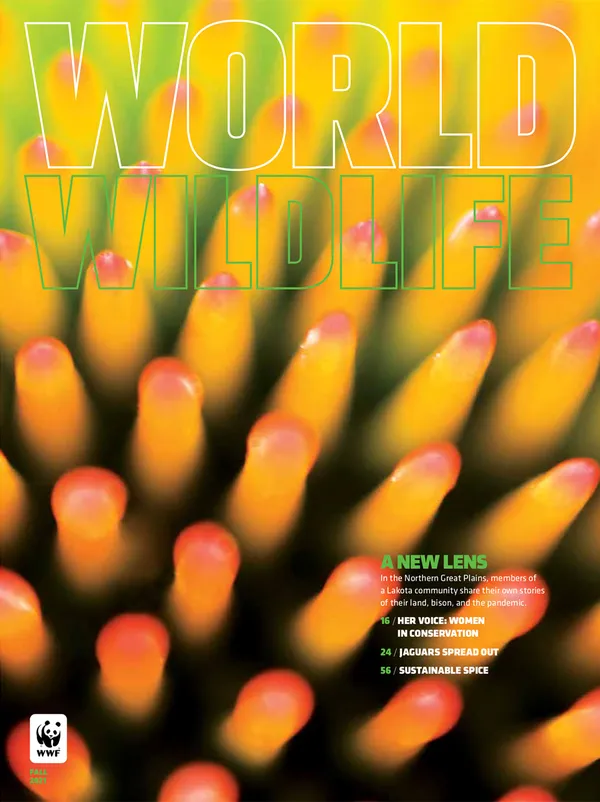 Fall 2021 Magazine cover