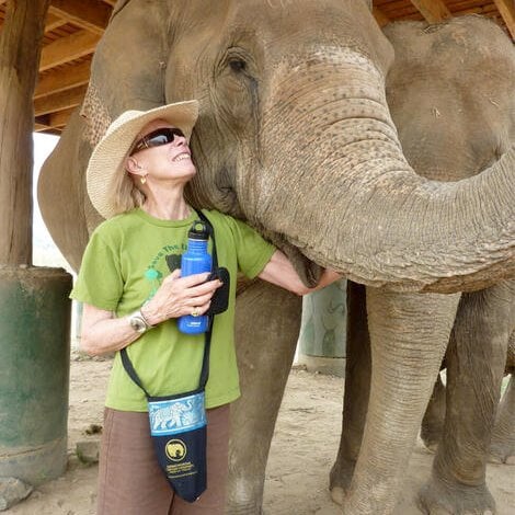 A person wearing a hat and holding a water bottle standing in front of an elephant.