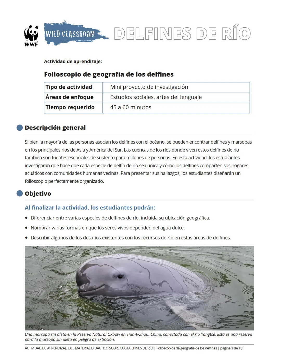 Folioscopio de geografía de los delfines