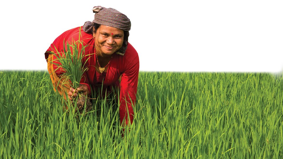 Woman leaning over in field