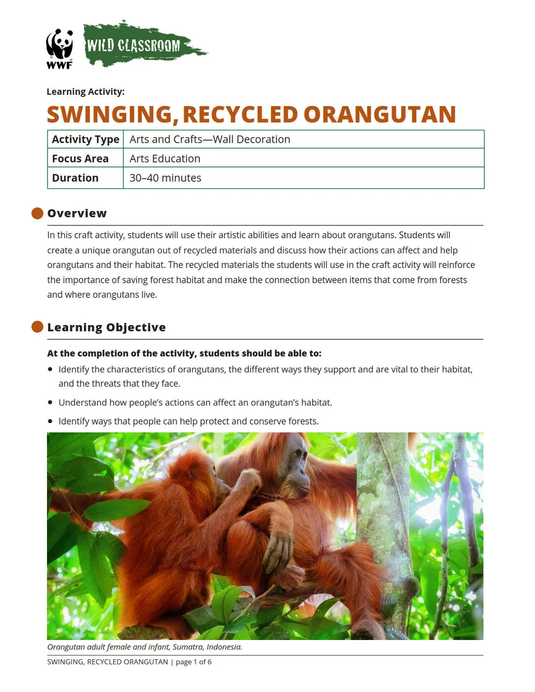 Swinging Orangutan Preview