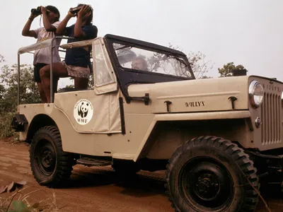 Project team researchers identifying and counting wild animals with binoculars