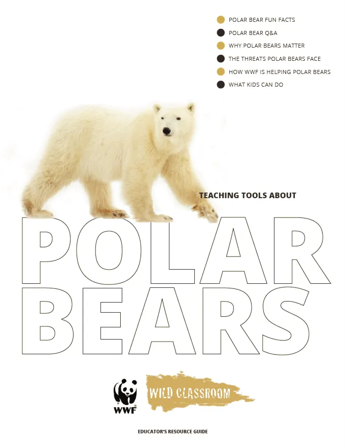 Polar Bear Toolkit Cover