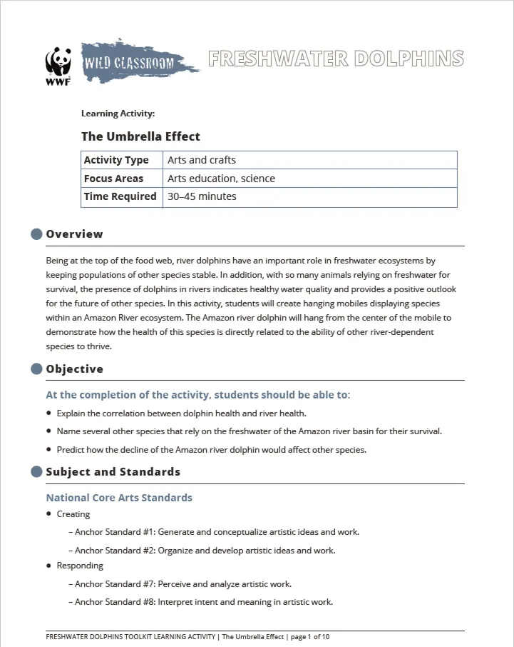 First page of "The Umbrella Effect" Wild Classroom activity