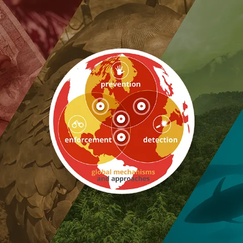 A graphic with a red globe in the middle