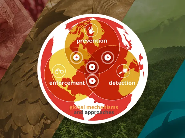 A graphic with a red globe in the middle