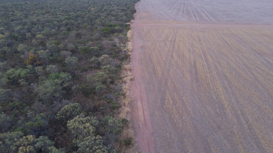 Aerial view of the stark edge of a farm with vegetation on one side and dirt ground on the other