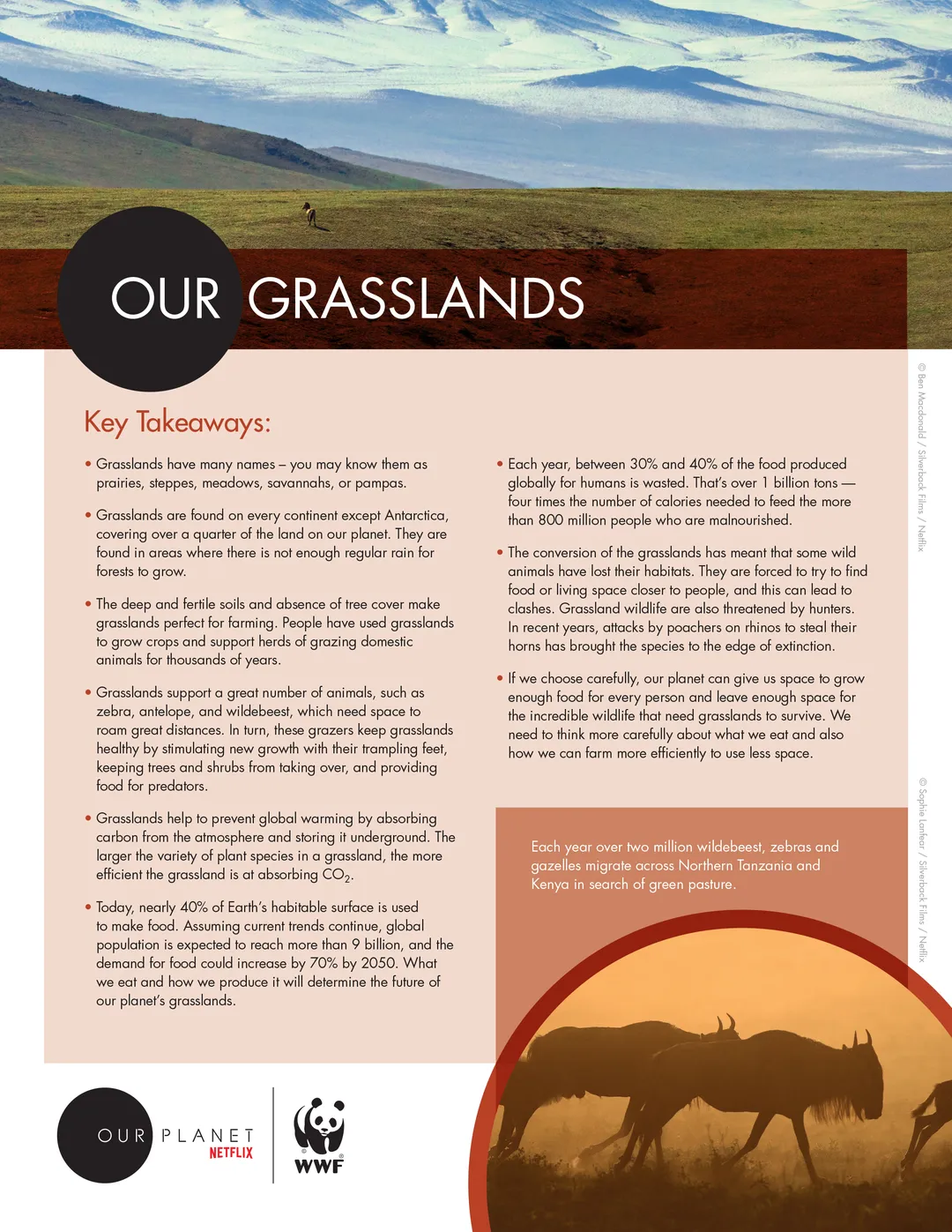 A page of the Our Planet From Deserts to Grasslands Educators resource Guide