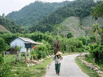A person walks carrying wood amid a backdrop of jungle.