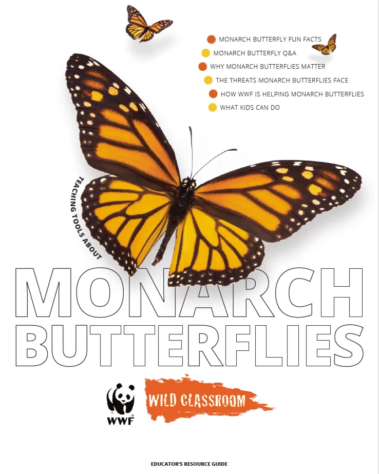 Full Monarch Butterfly Toolkit