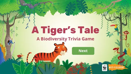 animation of tiger in a tropical forest