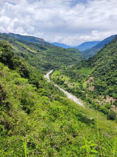 Landscape of a forest with river valley