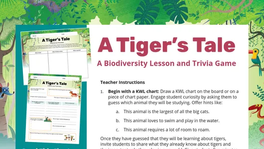 A Tiger's Tale Lesson Plan preview