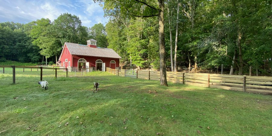 A red barn and a green pasture with goats and trees