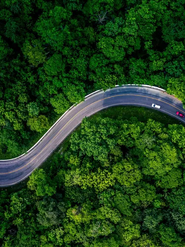 A top-down view of a winding road through a green forest