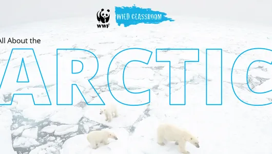 Arctic Educators Resource Guide